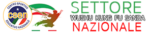 csen wushu - sanda nazionale