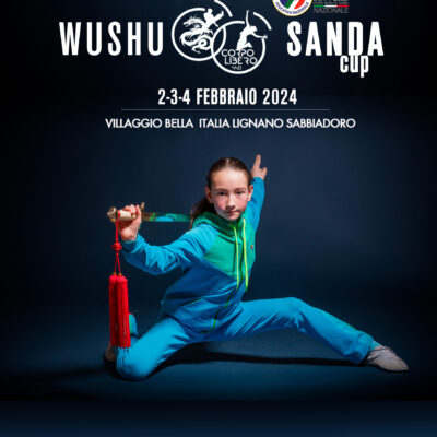 Wushu Sanda Cup 2024